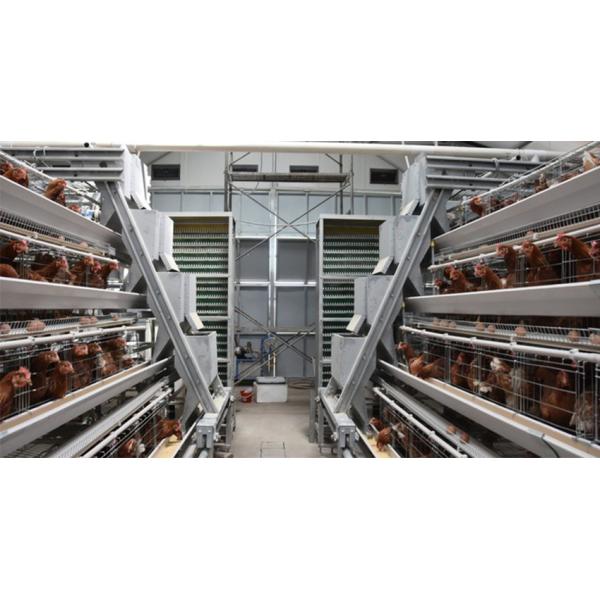 poultry feeding systems Hot Selling A Frame Automatic Chicken Layer Cage Poultry Cages Hot Galvanized Steel