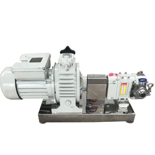 Stainless Steel 304 Sanitary Lobe Pump , Honey Transfer Pump Adjustable Speed