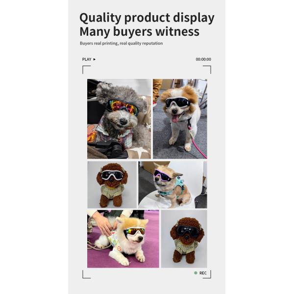 Material de gafas para perros Pequeñas mascotas medianas Protección UV Resistencia al viento y la arena