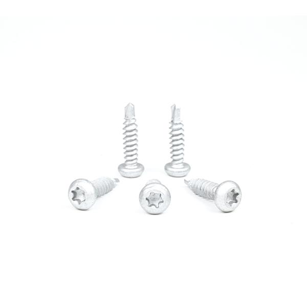 Pan Head Torx Drive Self Drilling Tapping Screw for Metal in 304 Stainless Steel