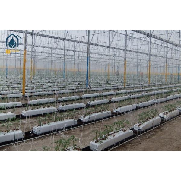 Rectangular Garden Growing Trough 100m Hydroponic Gutter Systems Planting with Cocopeat