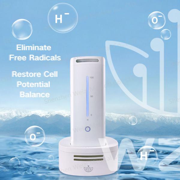 Customization Hydrogen Oxygen Negative Ion Generator For Homes Offices