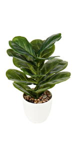 Spinulosa Fern Plants Bushes Fake Shrubs Greenery Plants Faux Fern Snakewood Outdoors UV Resistant Garden Plants