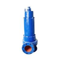 1.5kw-7.5kw Versatile Portable Submersible Pump For Drainage Irrigation  And Emergency Water Extraction
