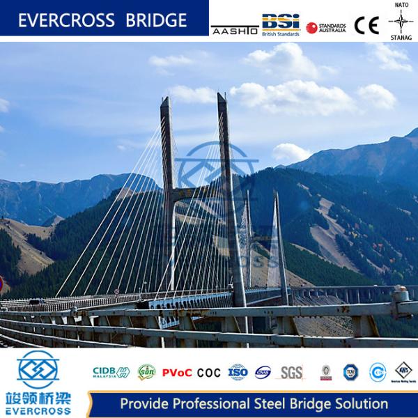 Custom Made Cable Supported Bridge Prefabricated Steel Truss Bridge