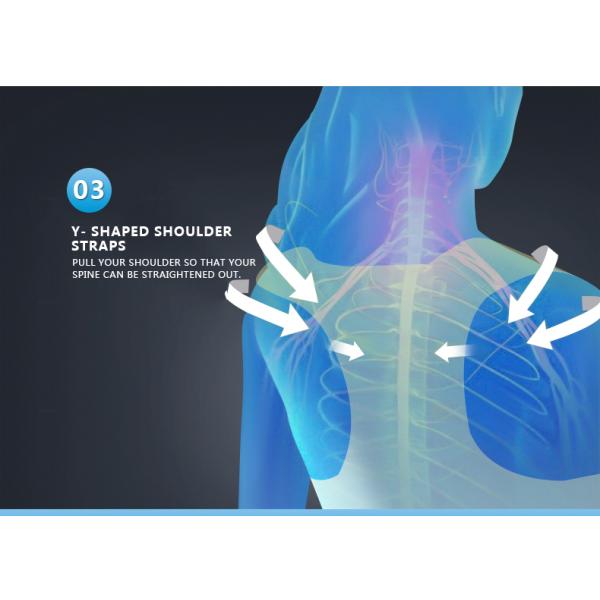 Factory direct sale ergonomic belt waist trainer cushion lumbar corset posture shape corrector back and shoulders support