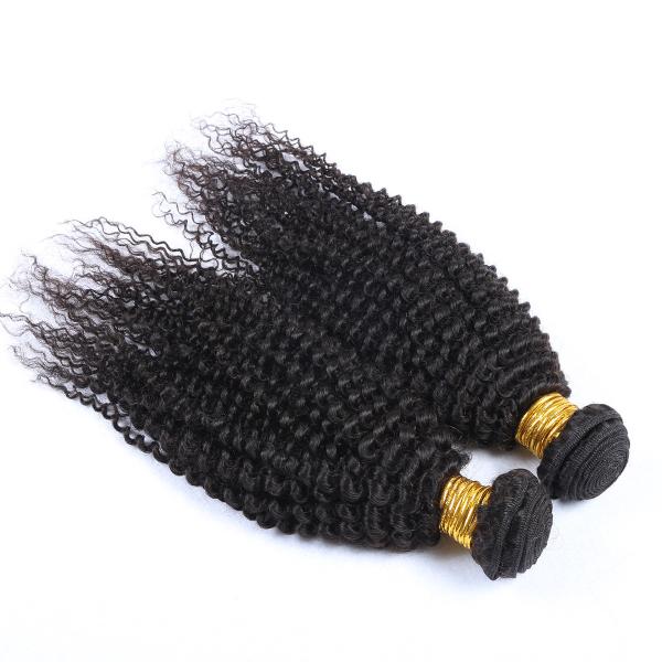 Natural Color Kinky Curl Original Brazilian Human Hair Wet and Wavy Weave