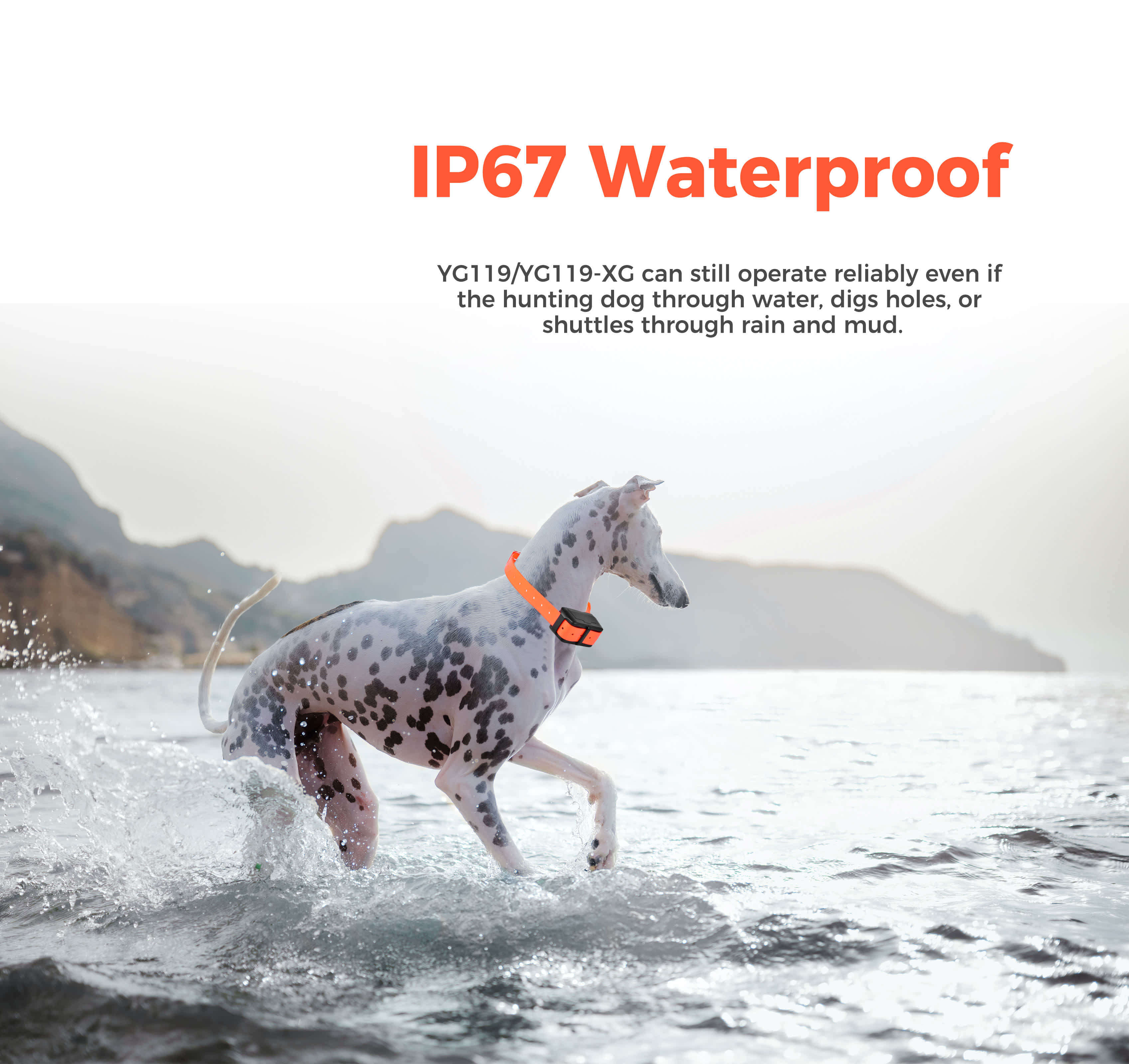 4G LTE GPS Dog Tracker Collar with Virtual Electronic Fence and IP67 Waterproof Smart Pet Tracking Device