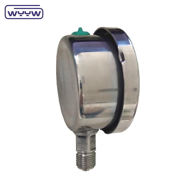 Medidor de pressão de aço inoxidável de enchimento de óleo de tamanho de mostrador de 60 mm com medidor de pressão de alta qualidade WYYW