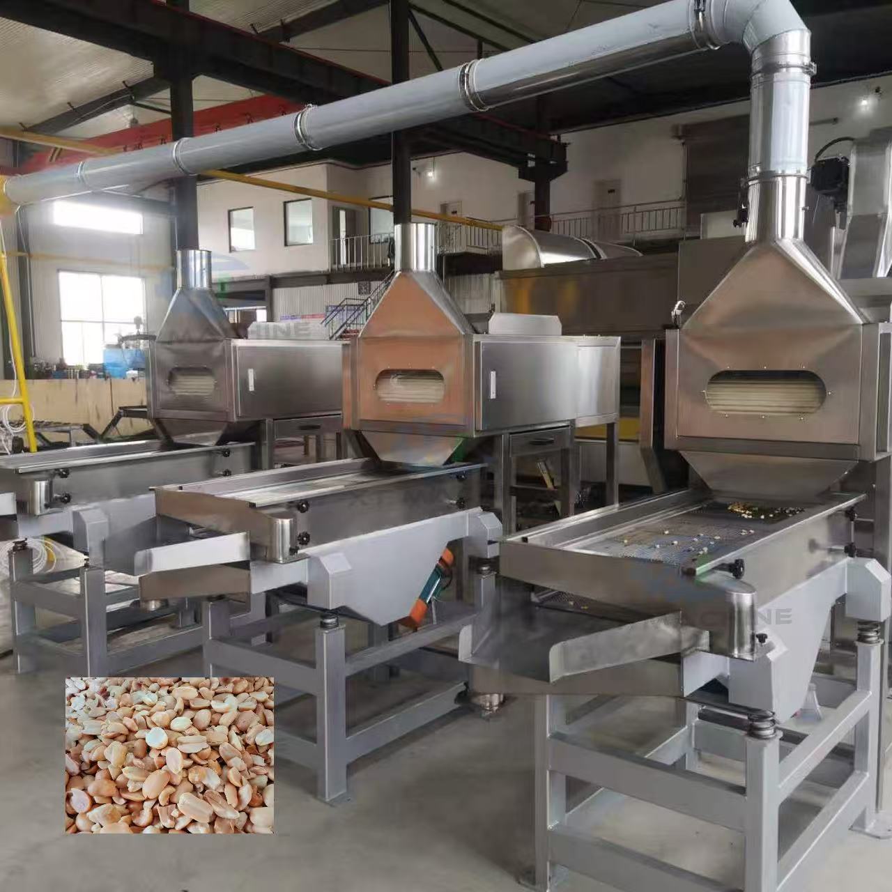 Customizable Split Nut Blanching Machine 800-1000kg/h Stainless Steel Roasted Peanut Peeling Machine ISO CE