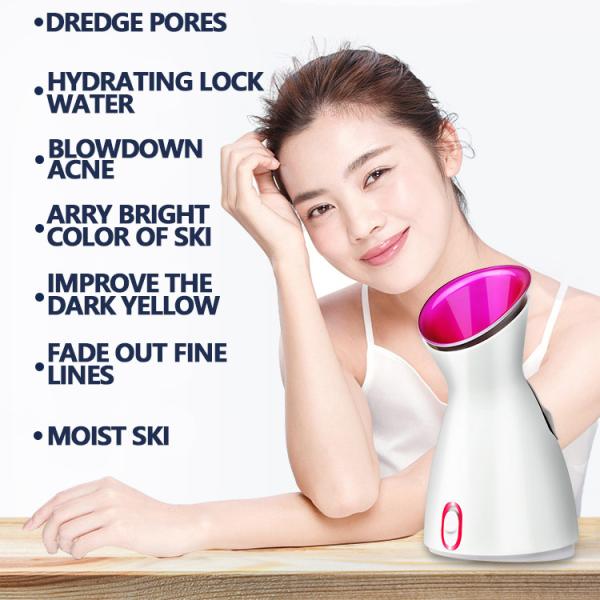 2 in 1 Professional Nano Ionic Facial and Hair Steamer with App-Controlled Technology