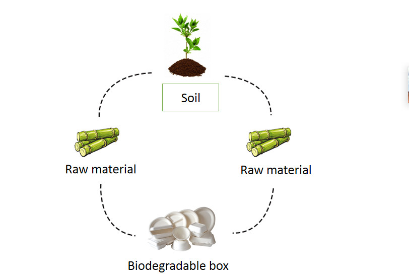Коробки пищевого контейнера пульпы Biodegradable пищевого контейнера багассы сахарного тростника бамбуковые