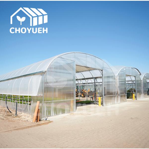 Hot Dip Glavanized Steel Polytunnel Greenhouse 10X30m Single Span