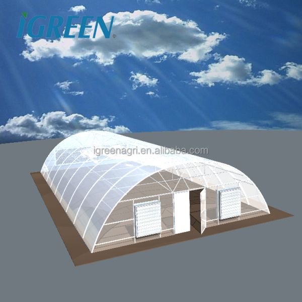 Single-Span PE PC Sheet Greenhouse for Hot & Arid Regions-Heat-Resistant Agricultural Greenhouse