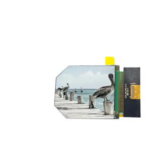 2.54 Inch VR LCD Display 1440X1600 50 Pins MIPI Interface 350c/D Driving IC