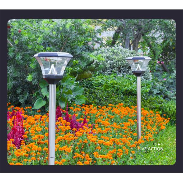 Solar Garden Light LED Decoration Light Hang and Stand for Multipurpose Yard Lighting