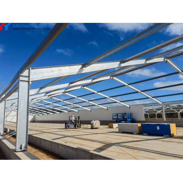 Construcción Estructura prefabricada de acero Granja de cerdos Casa de granja / Estructura de acero Granja de vacas