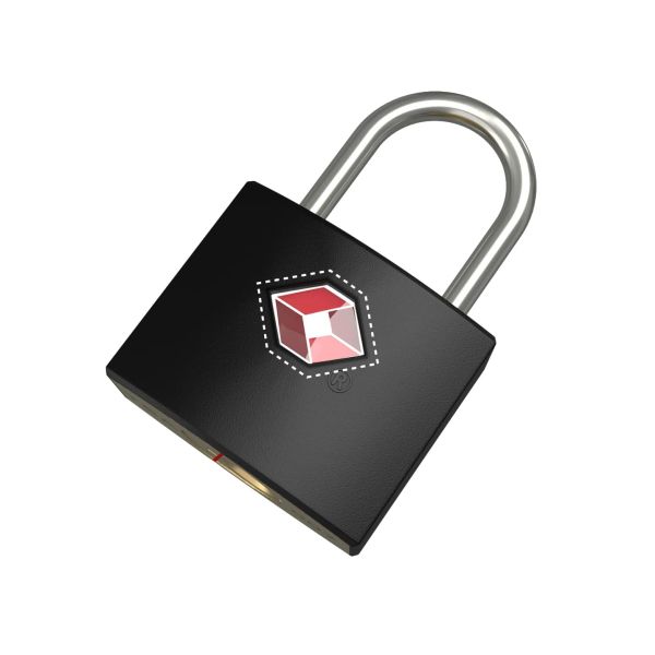 TSA Brass Luggage Locks with Keys Anti-Theft Padlock RARLUX Model TSA9020 for Suitcases Gym Lockers Laptop Bags Travel Etc