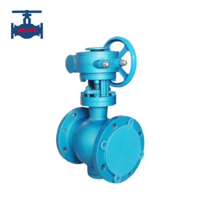 Two Way Flow Side Entry Eccentric Hemispherical Valve with 18 Months