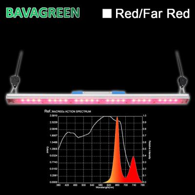 o diodo emissor de luz vermelho de 30W 660nm cresce SAA claro
