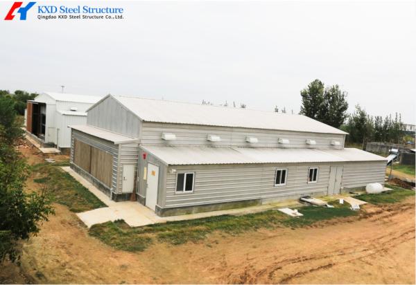 Q235 Q345 Steel Structure Broiler Chicken House for High Meat Yield