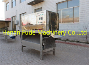 Chain plate garlic peeling machine，garlic peeling machine