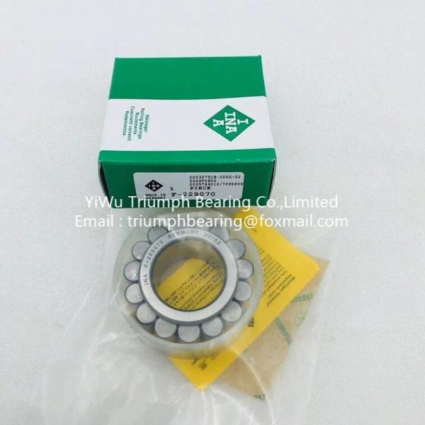 INA Cylindrical Roller  Bearings     F-229070
