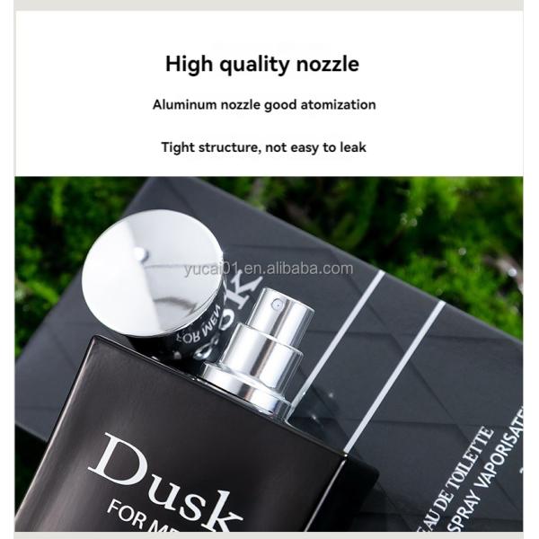 Floral Scent Perfume 100ML Wood fragrance Fresh Lasting Eau de Toilette for Urban Men