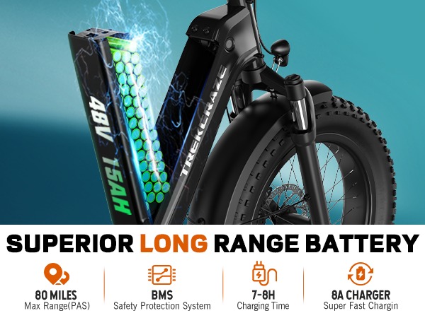 20 Inch  Electric Cargo Bike 48V 750W Folding Urban Commuter Ebike for Family Kids Pets Large Rack City Transport