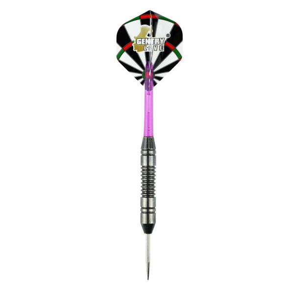 Gentry Live 14-28g Mail Box Brass Steel Darts Set