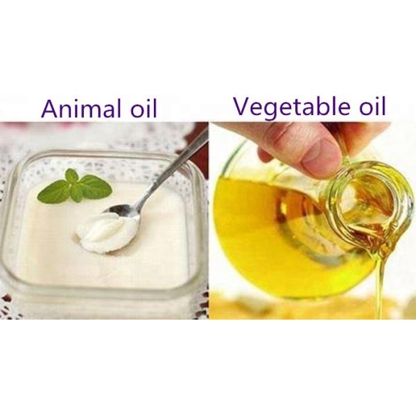 Hign Quality Edible Oil Separator Machine Factory Price