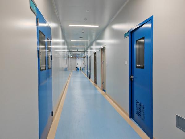 Master Series Steel Pharmaceutical Cleanroom Door Single / Double / Unequal Leaf