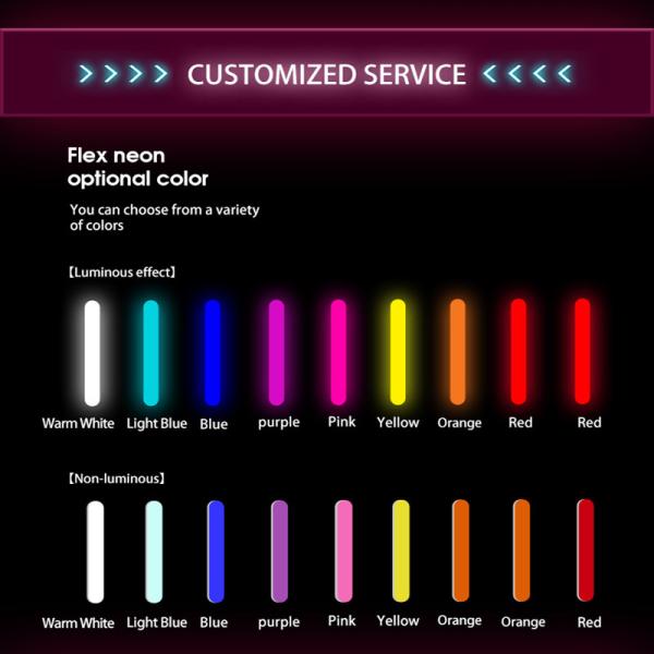 12V Waterproof RGB Flexible Silicon Neon LED Sign Light for Holiday Party Event Decoration