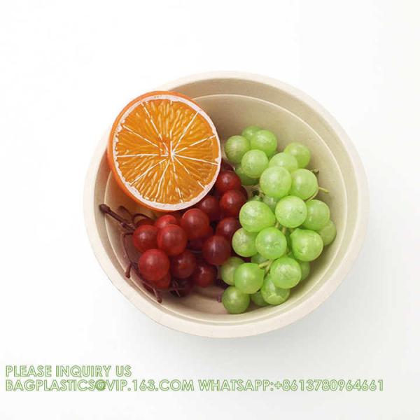 Eco Friendly Bowls 100% Compostable Disposable Biodegradable Sugarcane Bagasse Bowl