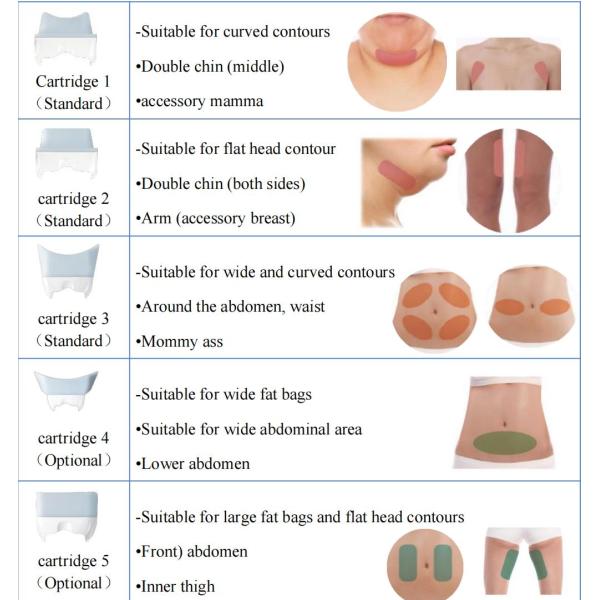 Потеря веса Cryolipolysis уменьшая терапию ручек машины 6 жирную охлаждая