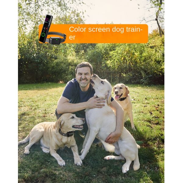 Innovation Design Eco-friendly ABS Material Color Screen IP67 Waterproof Rechargeable Long Battery Life Wireless Dog Training