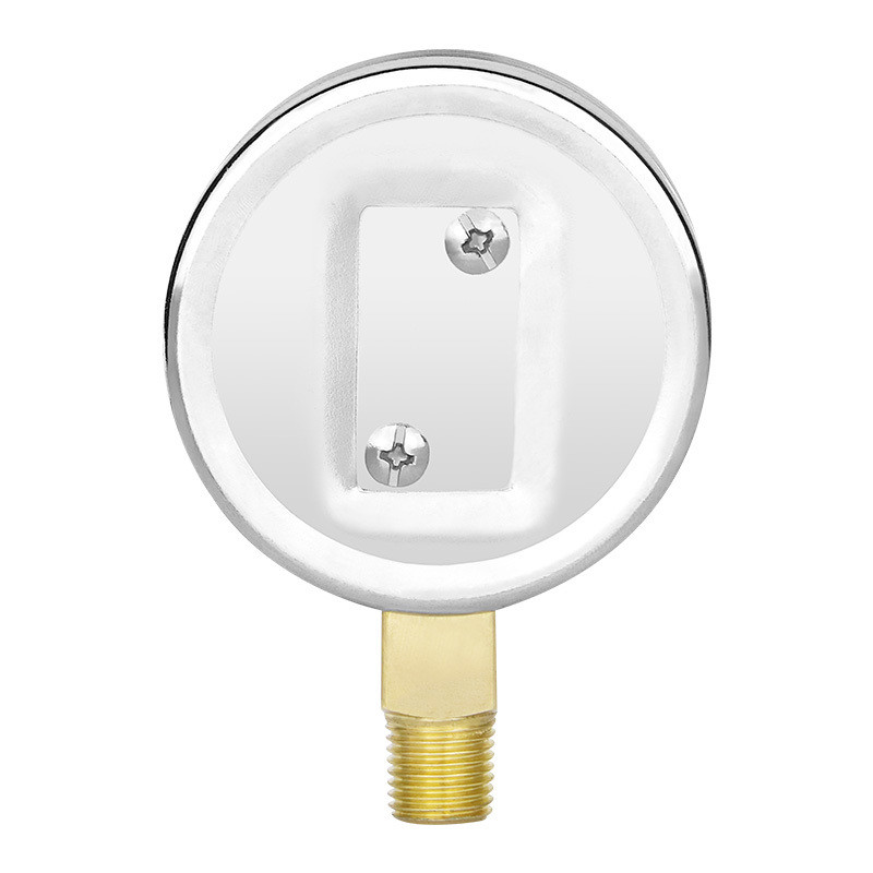 2.5 Inch NPT1/4 Gas Capsule Pressure Gauge with 0-60mbar/kpa Range from Zhejiang