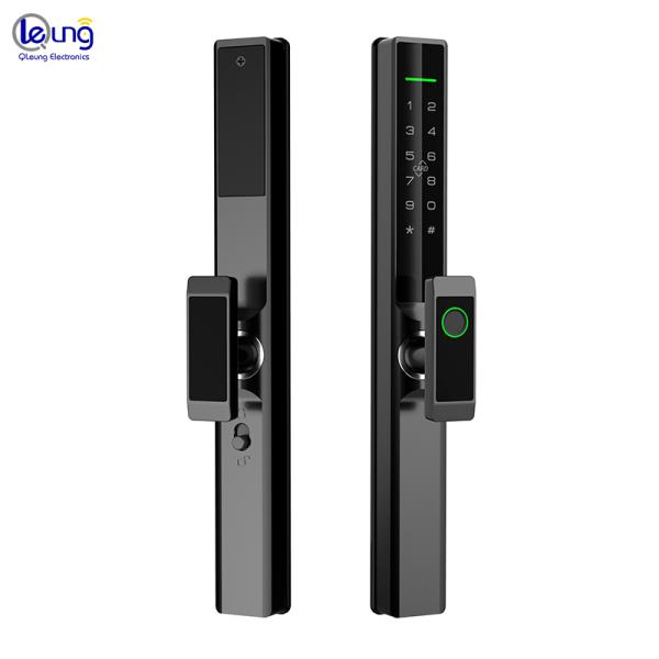 TTlock Tuya Автоматический дверной замок дома ROHS Квартира спальня дверной замок