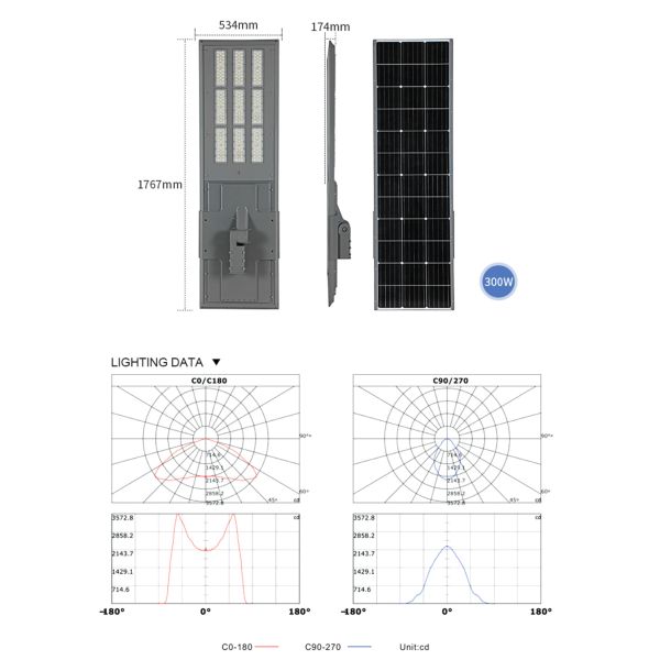 All in One Solar Street Light with LiFePO4 Battery for 8–12m Pole Installation
