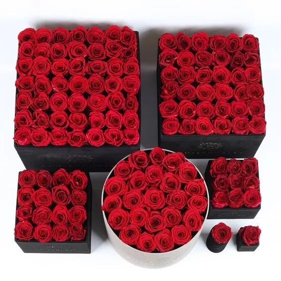 Ready Arrangement Preserved Roses Heartshape Boxes Heartshape Box Flower Valentine's Day