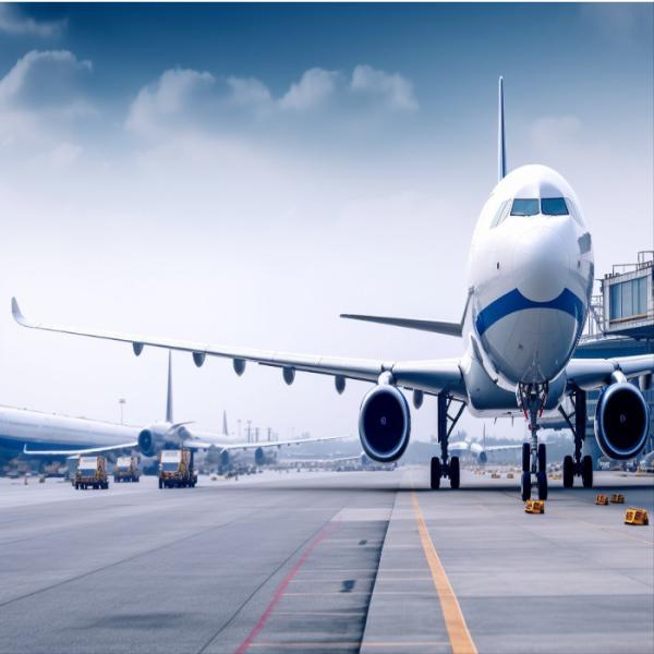 Carrier Logistics Ddu Express Freight International From China To Usa Lax