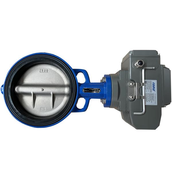 Электрический корпус из промышленной углеродистой стали Butterfly ValveВальвальная плита из нержавеющей стали