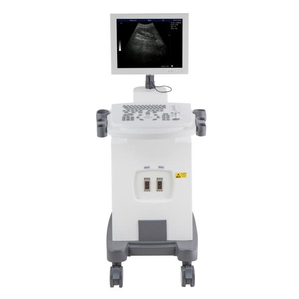 Trolley Ultrasound Machine Echo Price