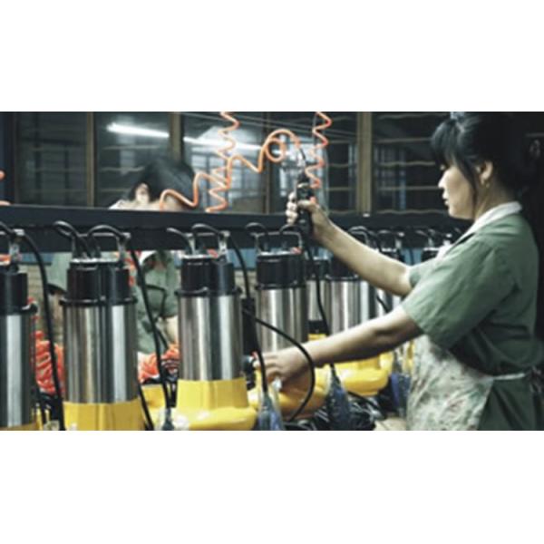 Low Pressure Electric Submersible Water Pump Customized Color Stainless Steel