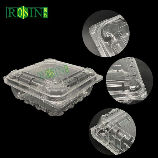 Rectangle Clear PET Disposable Clamshell Food Container Plastic Takeaway Box with Lid for Fruit