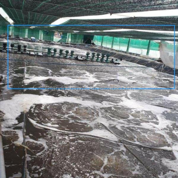 Южная Африка Дам Лайнер Промышленный дизайн стиль HDPE геомембраны по доступным ценам