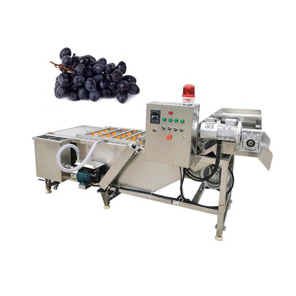 Automatic Tamato Washing Machine Small Processing Plant Tomato Paste Production Line Motor CE Fruits and Vegetables Provided 380