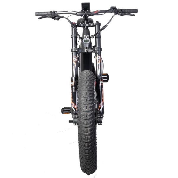 48V 1000W Mid Drive Motor Electric Bicycle with Carbon Fiber Frame and Bafang Motor