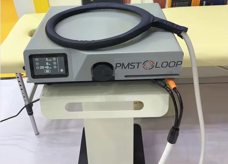 GOMECY 2 В 1 PEMF LOOP Человек и лошади PMST LOOP PRO MAX Физиотерапевтические средства для лошадей для облегчения боли в теле