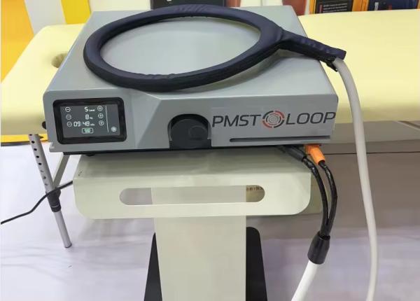 GOMECY 2 In 1 PEMF LOOP Human And Horses PMST LOOP PRO MAX Equine Physiotherapy Products For Body Pain Relief Equine